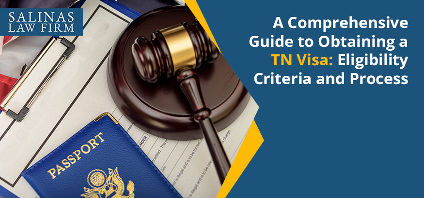 A Comprehensive Guide to Obtaining a TN Visa Eligibility Criteria and Process